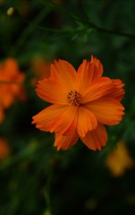 IMG_20161026_231446