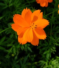 IMG_20161027_103358