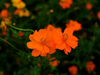 IMG_20161027_104118