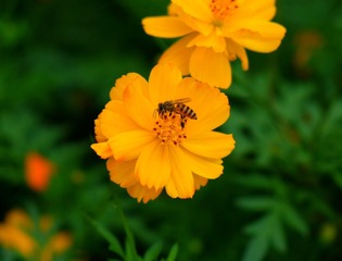 IMG_20161027_103222
