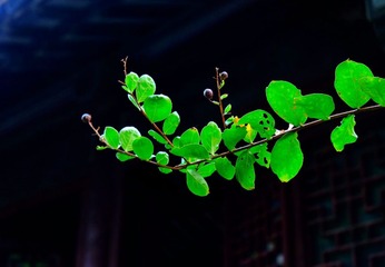 IMG_20161029_161909