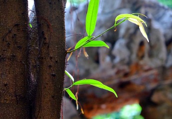 IMG_20161031_130958