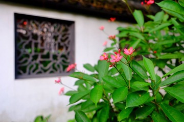IMG_20161031_125531