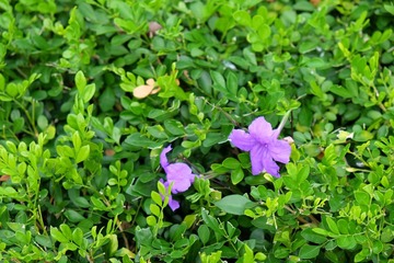 IMG_20161031_131107