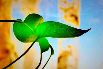IMG_20161102_182156