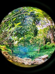 MA201611051540390088-02-001000000