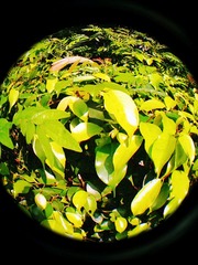 MA201611051541150037-02-001000000