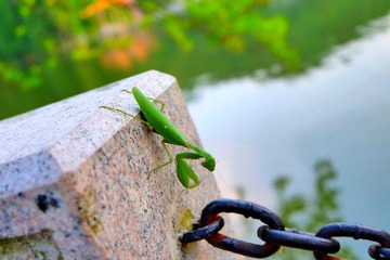 IMG_20161112_093611