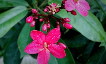 IMG_20161114_195424