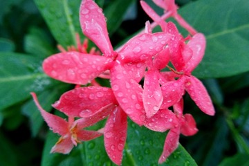 IMG_20161114_195147