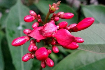 IMG_20161114_194824