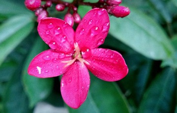 IMG_20161114_195044