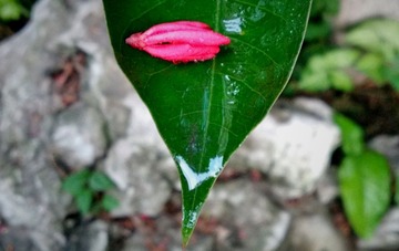 IMG_20161114_194943