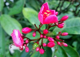 IMG_20161114_194723