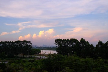 DSCF0920a
