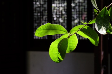 2017_0823_23124800(1)