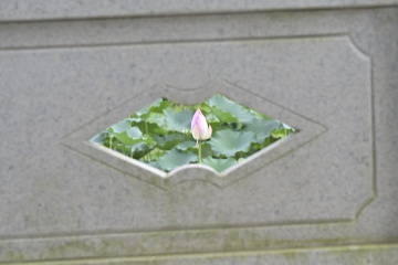 040