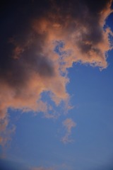 6172CB9E-B494-4B30-B0E5-B73131A70735/L0/001
