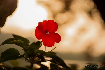 IMG_20161030_011933