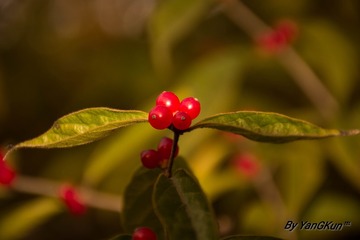 IMG_20161030_011818