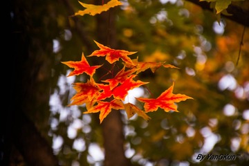 IMG_20161030_011246