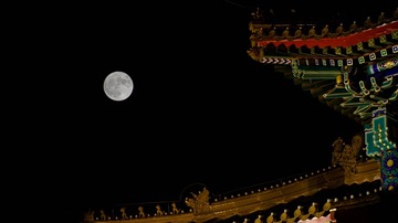 IMG_20161114_233728