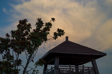 851454FF-FF5C-4831-854C-F28679AE2D9F/L0/001
