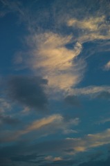 D2DCFAB1-F7F0-4751-AC00-33C0D808C4F4/L0/001