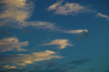 0C83713D-828A-443B-A98A-E970BCEF1F28/L0/001