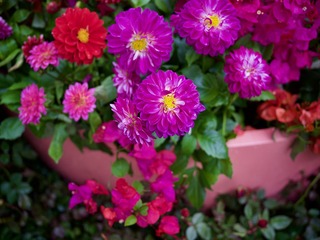 9F71A688-B81E-49E7-B441-399947EDB407/L0/001