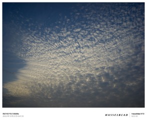 037F0509-814E-491B-B066-55D0DB247731/L0/001