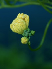 57D61280-E9DE-4AC2-86F0-37240AB34C78/L0/001