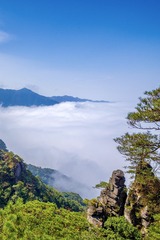 6D2105A0-095A-482F-92AE-5EC0D5132866/L0/001