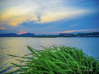 9A00FB1A-B681-4A71-B7C5-2AD5BE1CF4D1/L0/001