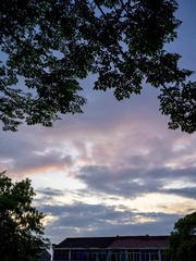 7E85EB5E-C0BC-43D3-B33E-DE93656A18CF/L0/001