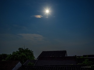 44169AAD-6023-4904-9AC2-CF073AD78C95/L0/001