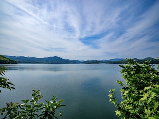 12B39A2C-F6FE-4325-8775-D0BD4A90B590/L0/001