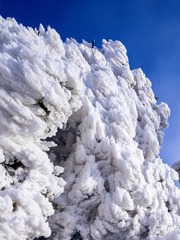 D768D550-0E40-45DC-A639-DD3C9F569391/L0/001
