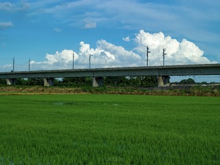 E14AC68B-B22C-437B-8056-CD5D75983D65/L0/001