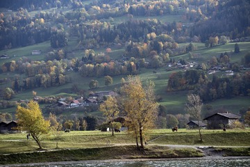 L1000564