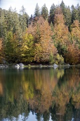 L1000581