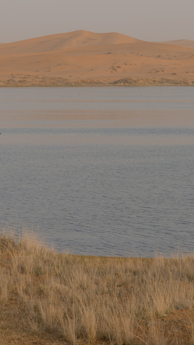 腾格里沙漠星星湖 - 是niannian啊