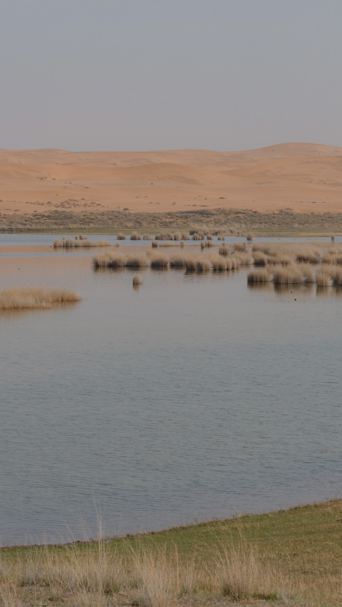 腾格里沙漠星星湖 - 是niannian啊
