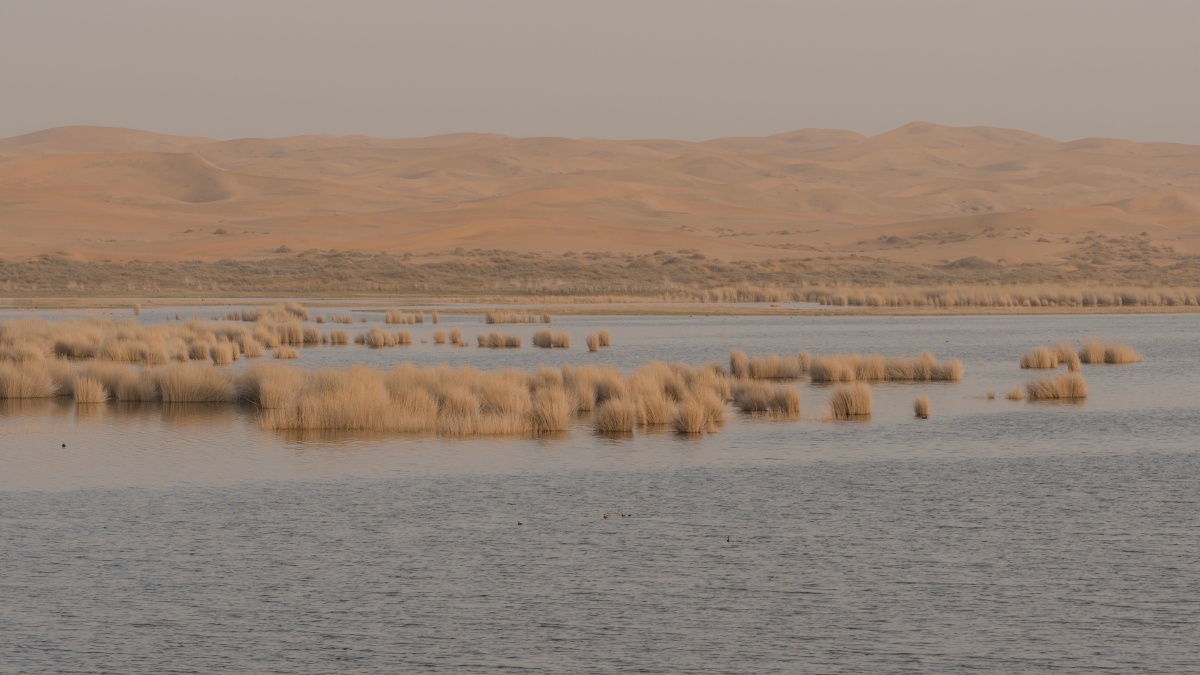 腾格里沙漠星星湖 - 是niannian啊