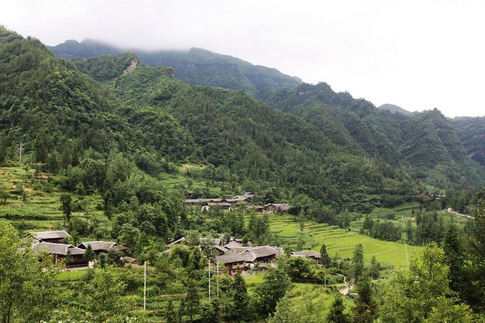 美丽的山林我的家<br />
G50 重庆—湖北恩施段，陶坪观景台