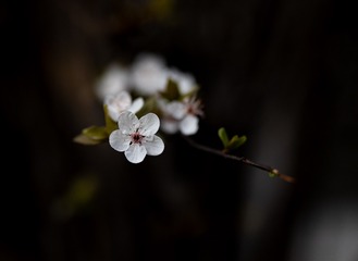 843668