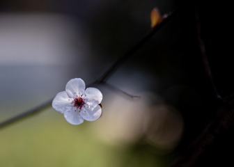 843663