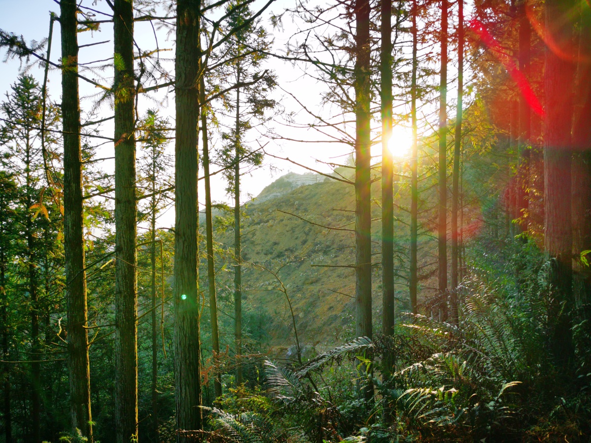 永春县山里看日出④早安大山