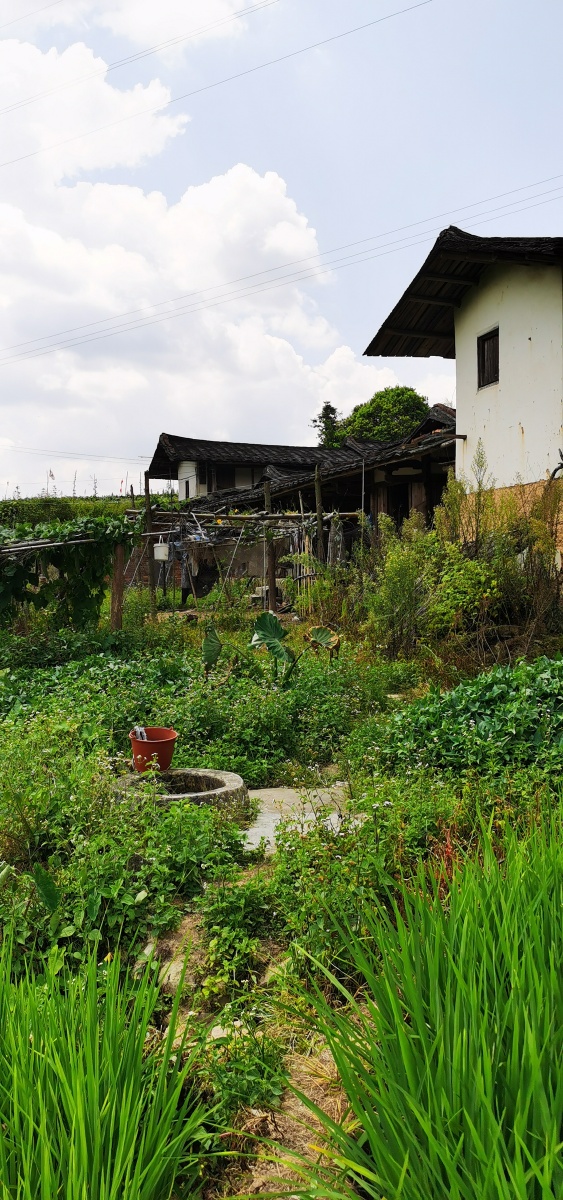 大田县吴山乡探亲山村田园盛夏景象