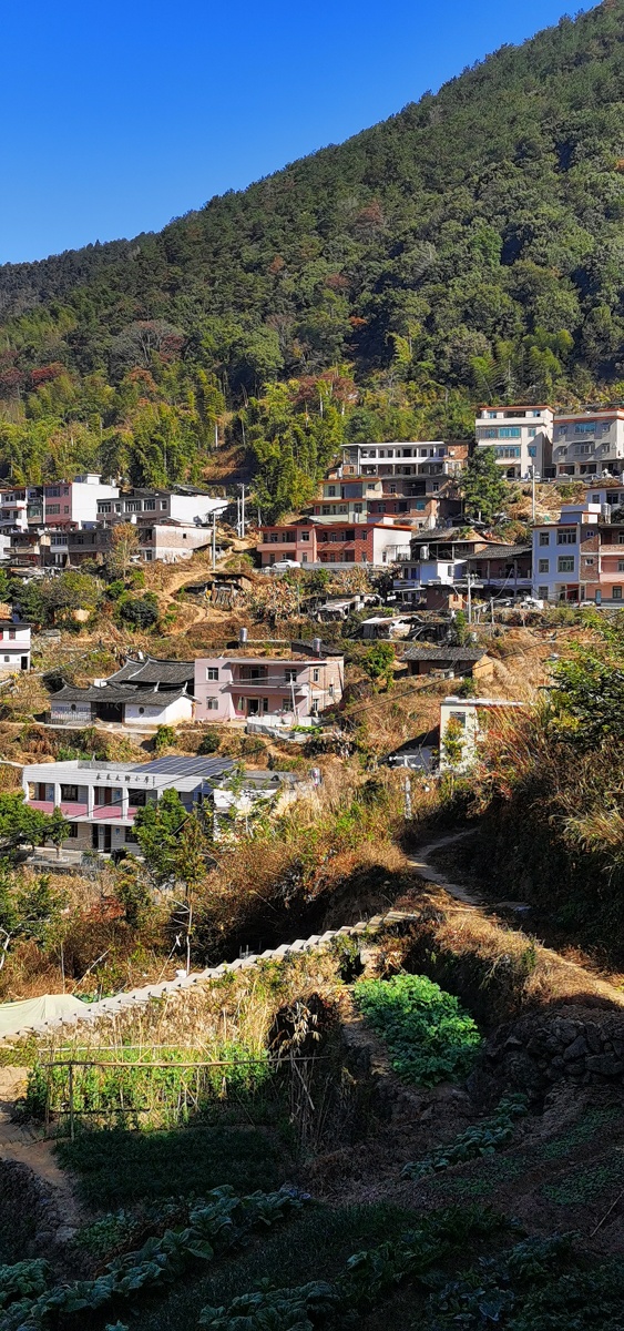 永春县山里的大卿村落与菜园丘陵地形